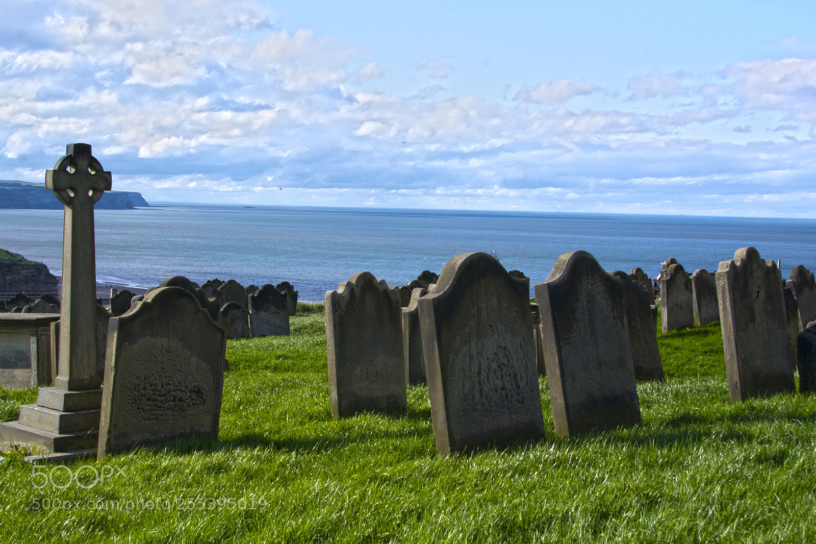 Nikon D7100 sample photo. Jpg photography