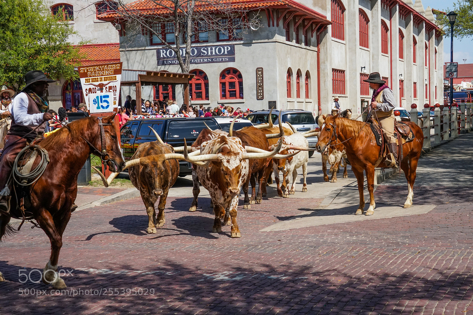 Sony a6500 sample photo. Fort worth stock yards photography