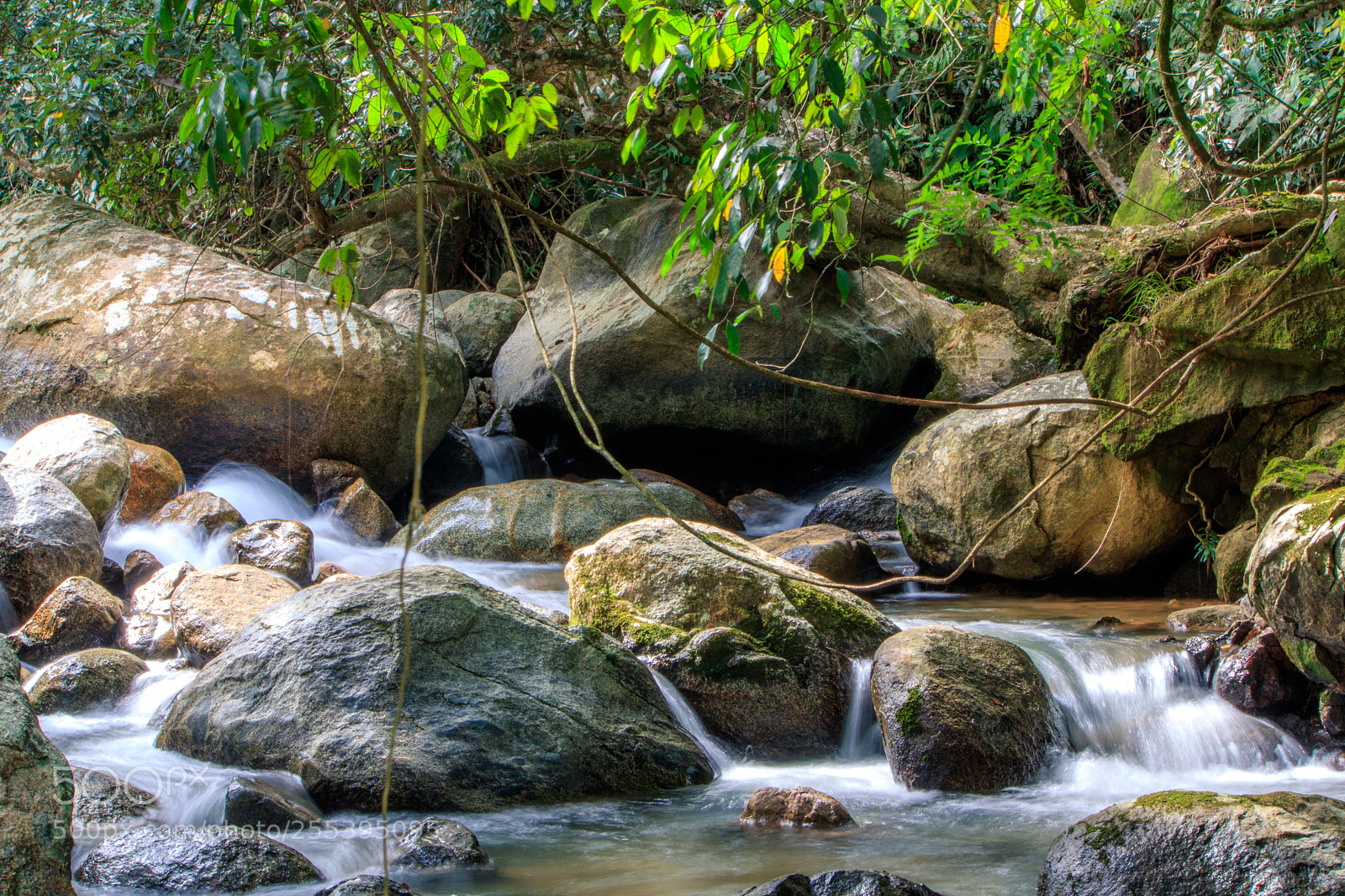 Canon EOS 750D (EOS Rebel T6i / EOS Kiss X8i) sample photo. San rafael long photography