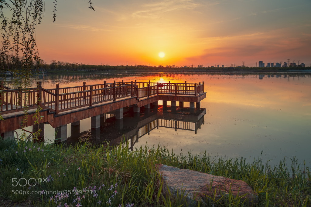 Canon EOS 6D Mark II sample photo. Sunset photography