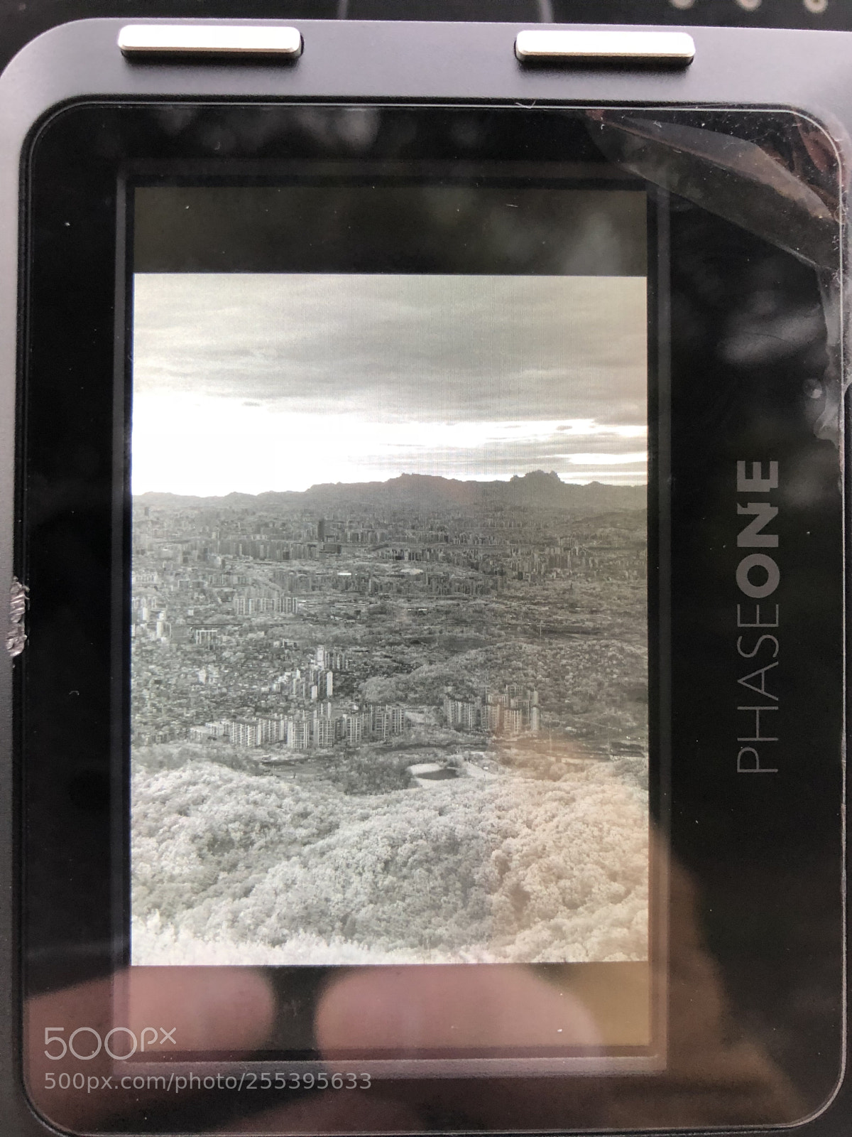 Apple iPhone X sample photo. Untitled photography