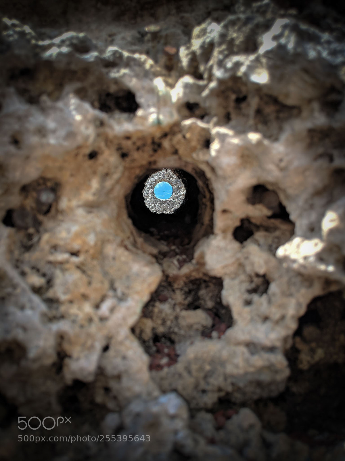 Google Pixel 2 sample photo. Coral telescope photography