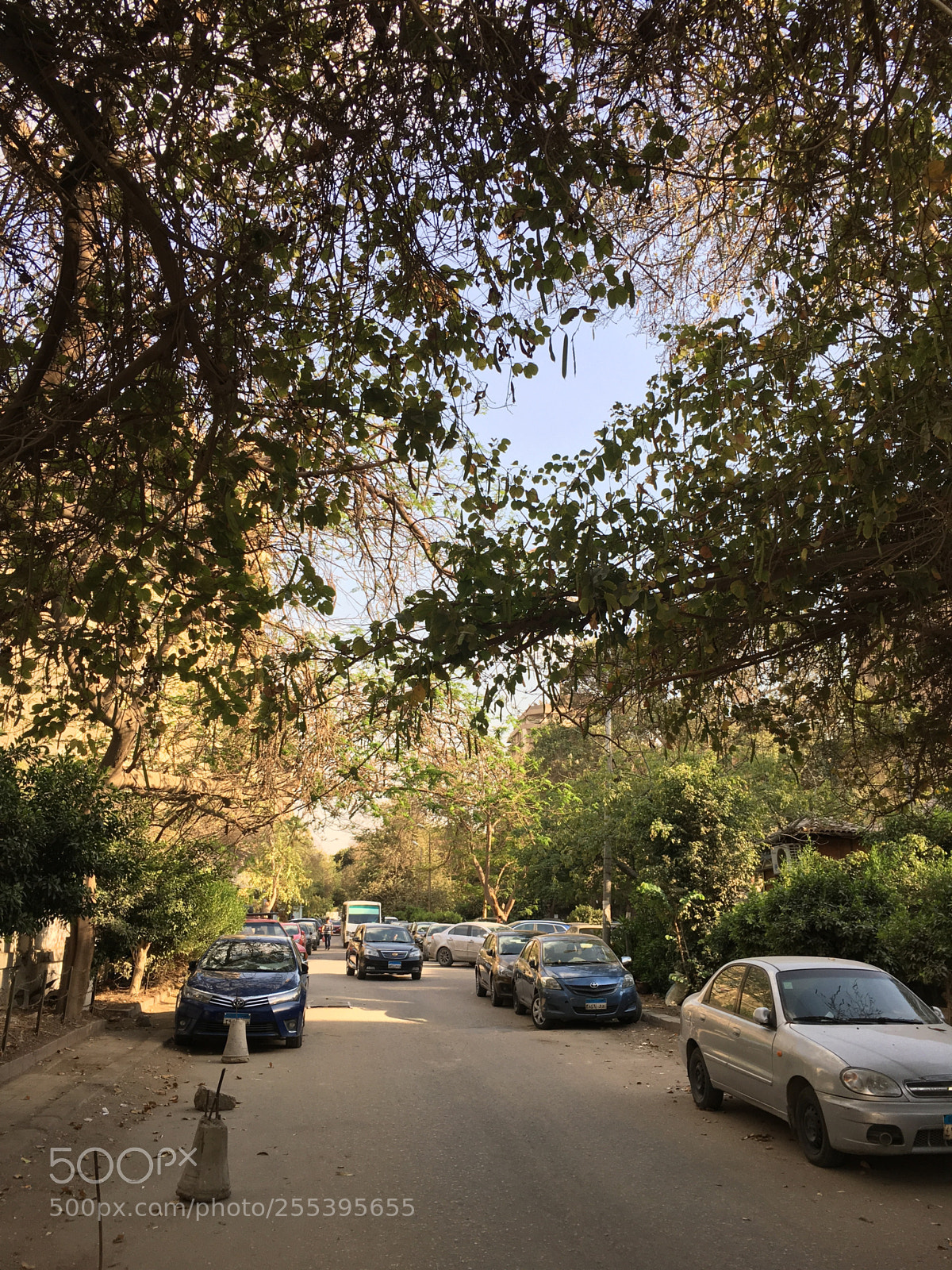 Apple iPhone 6s sample photo. Untitled photography