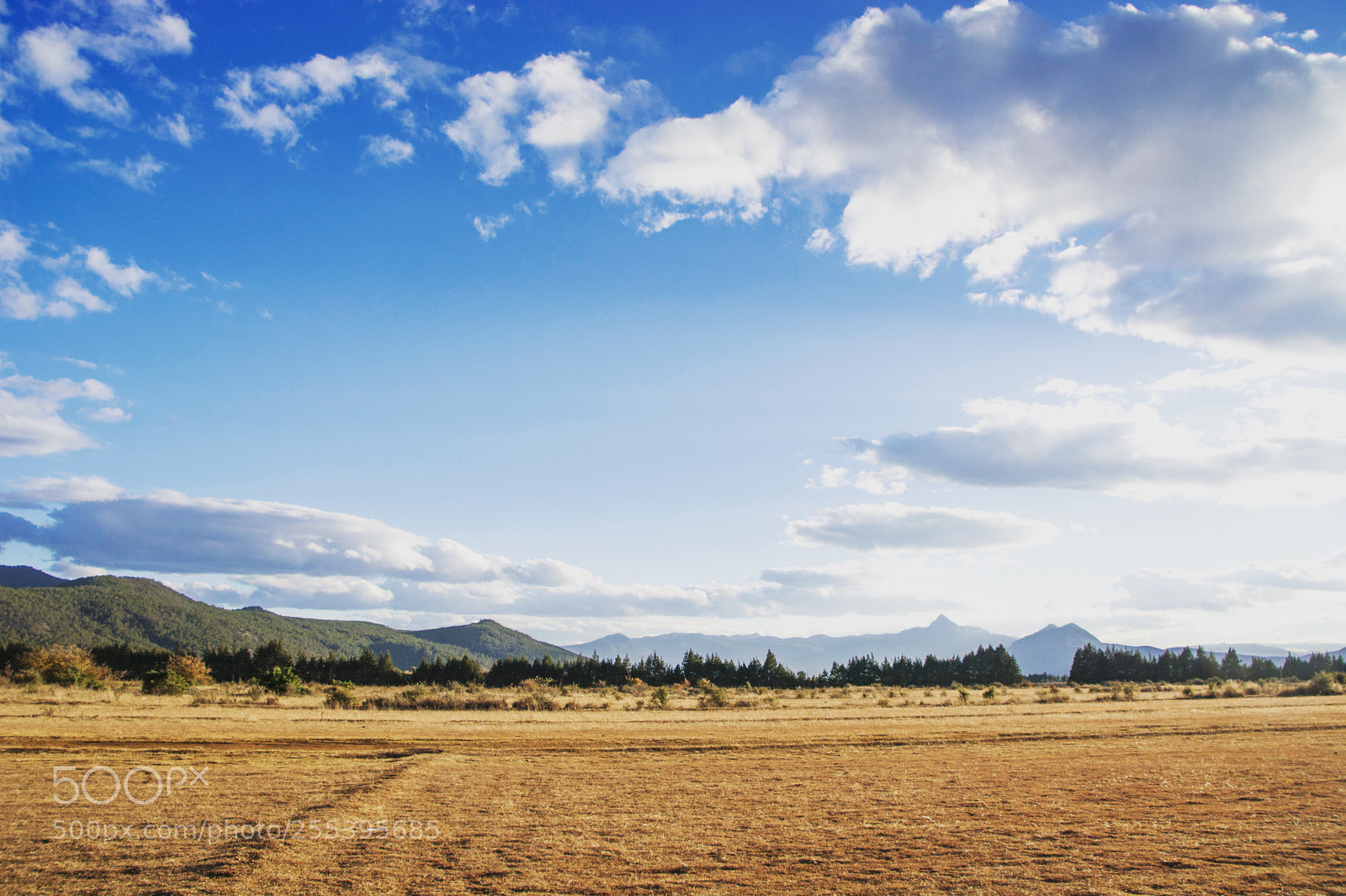 Nikon D5200 sample photo. 荒野 photography