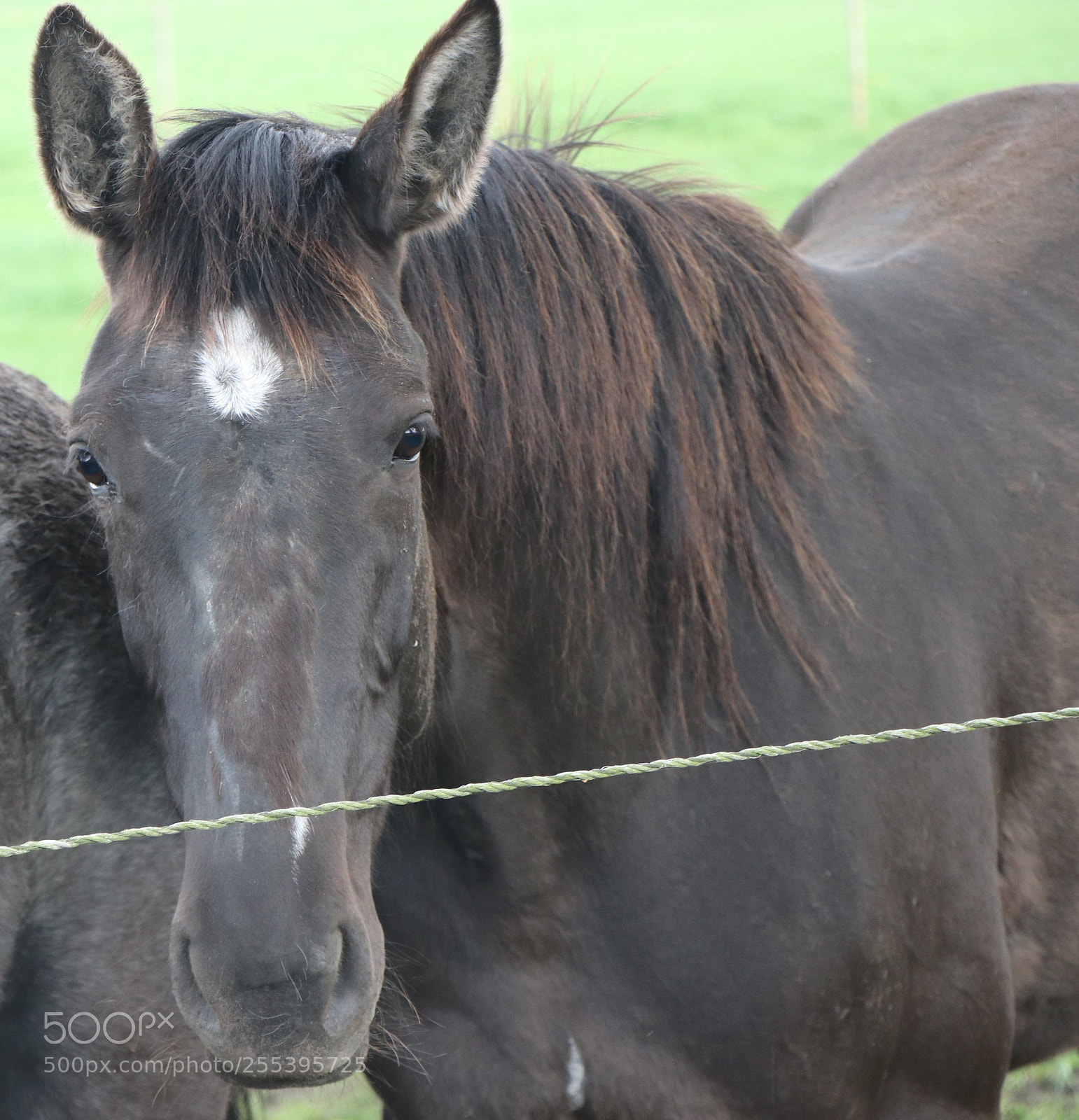 Canon EOS 80D sample photo. Img photography