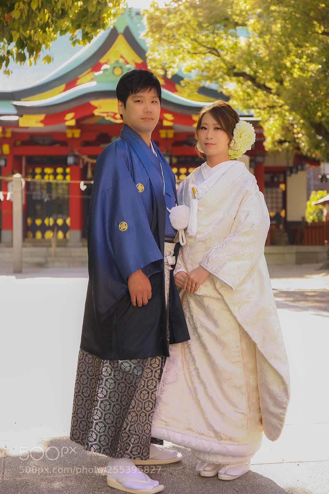 Canon EOS 6D sample photo. 神前式 photography