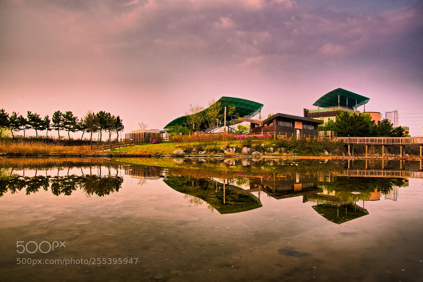 Nikon D500 sample photo. Reflection of sorae wetlands photography