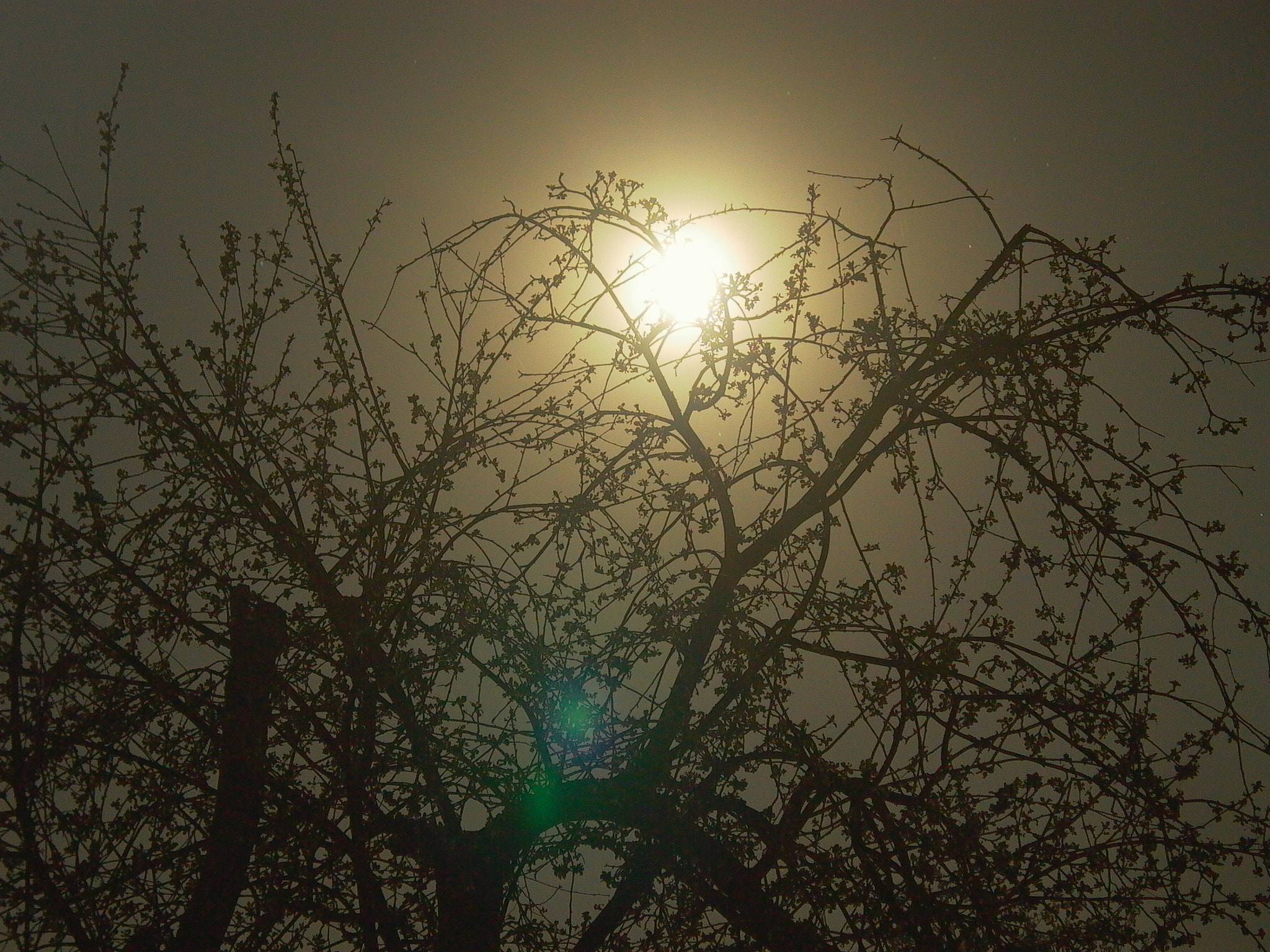 Panasonic DMC-LC5 sample photo. Moonlight photography
