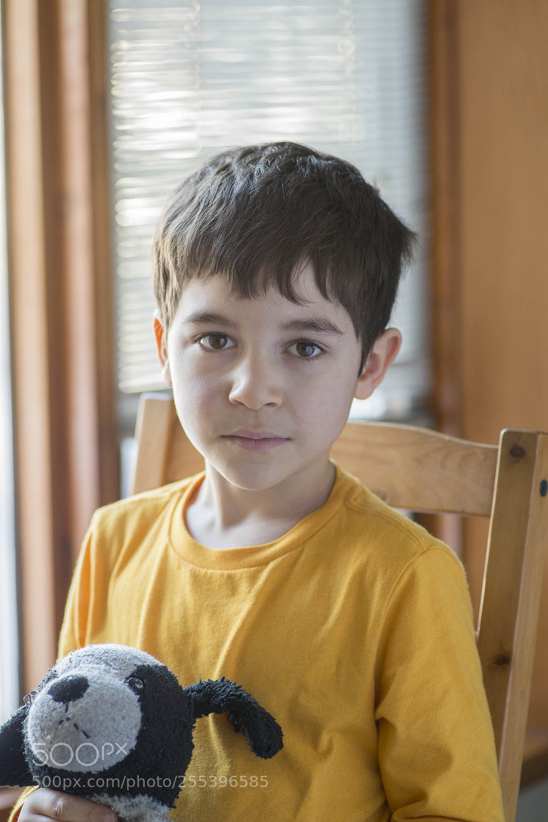 Nikon D600 sample photo. Boy and dog photography