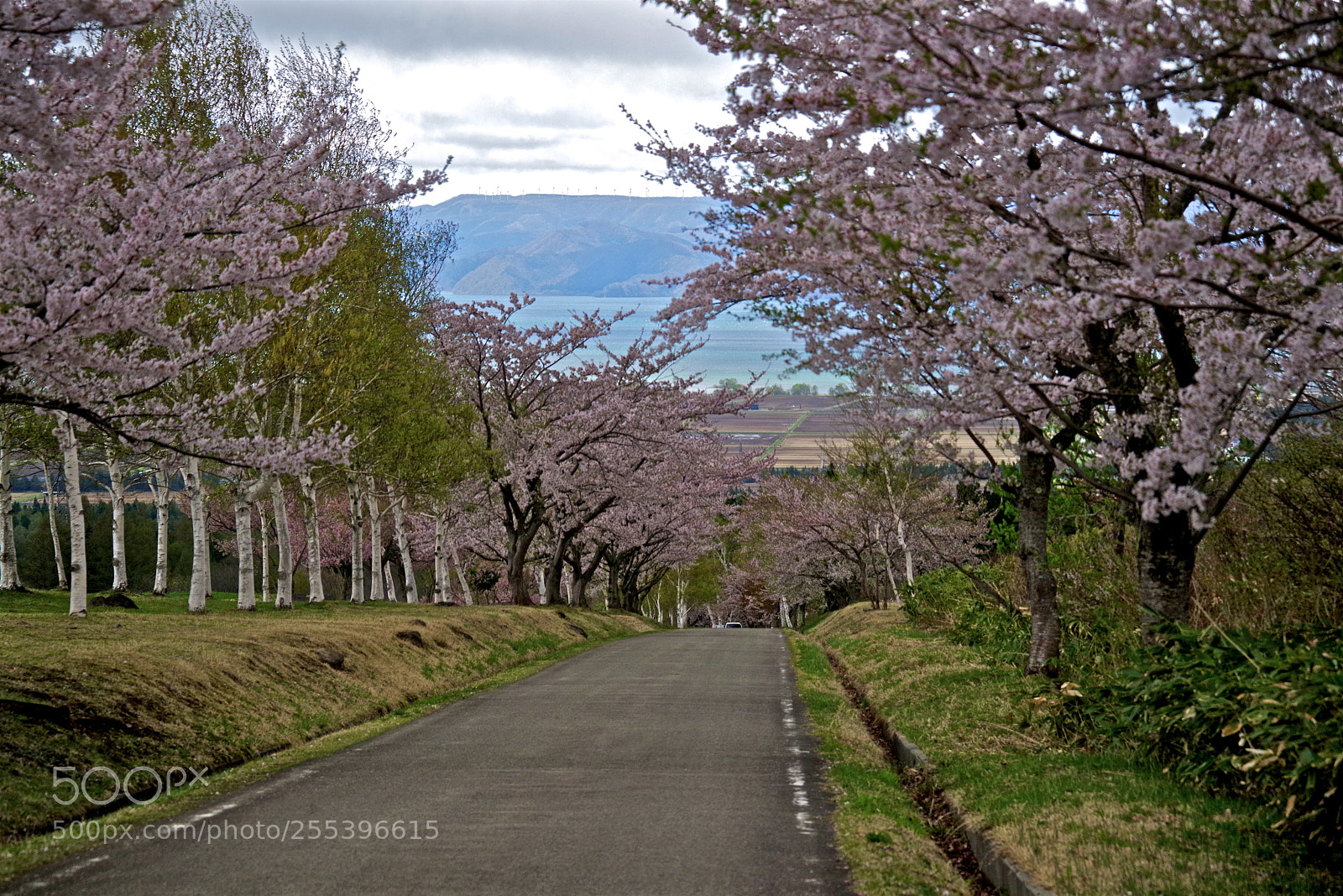 Pentax K-1 sample photo. Road to lake photography
