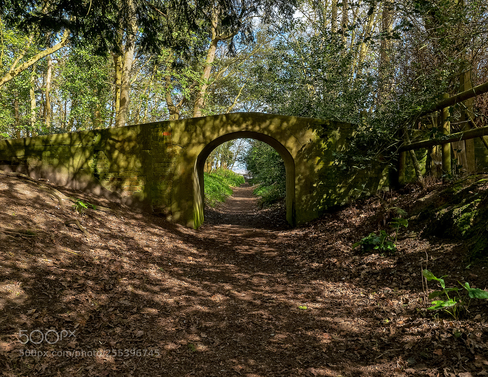 Olympus OM-D E-M5 II sample photo. Low bridge photography