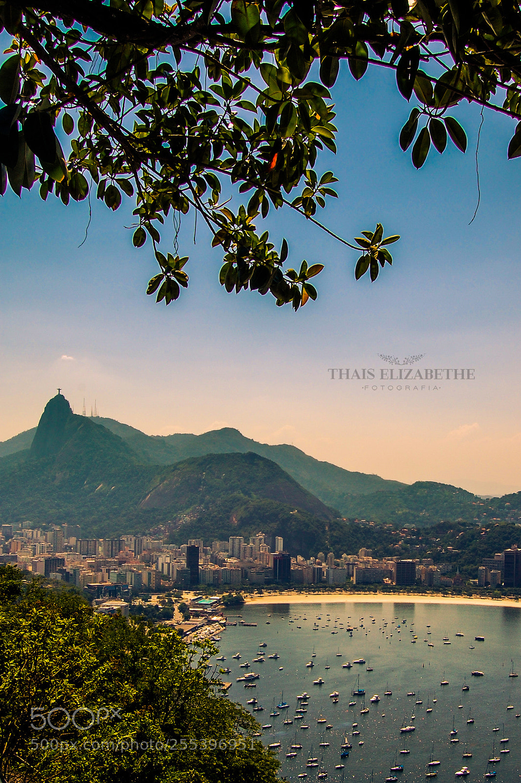 Nikon D40 sample photo. Untitled photography