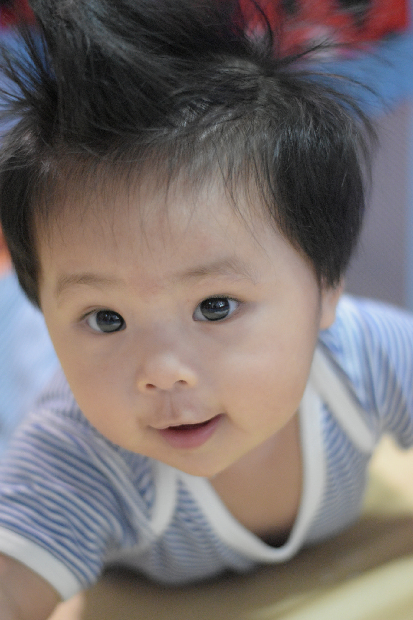 Nikon D5500 + Nikon AF-S Nikkor 50mm F1.8G sample photo