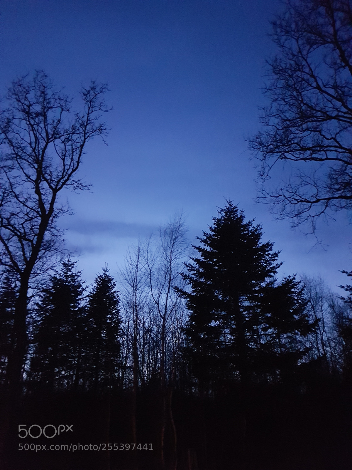 Samsung Galaxy S7 Edge sample photo. Spring night photography