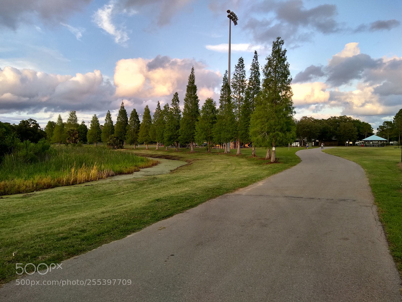 Motorola Moto G (5S) Plus sample photo. Evening at sheffield park.. photography