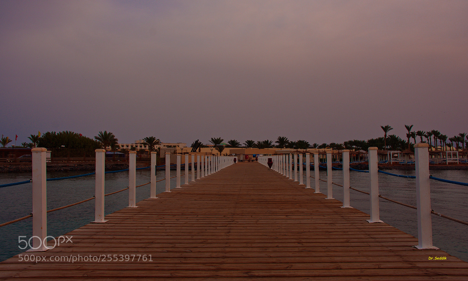 Nikon D7200 sample photo. Hurghada,egypt photography