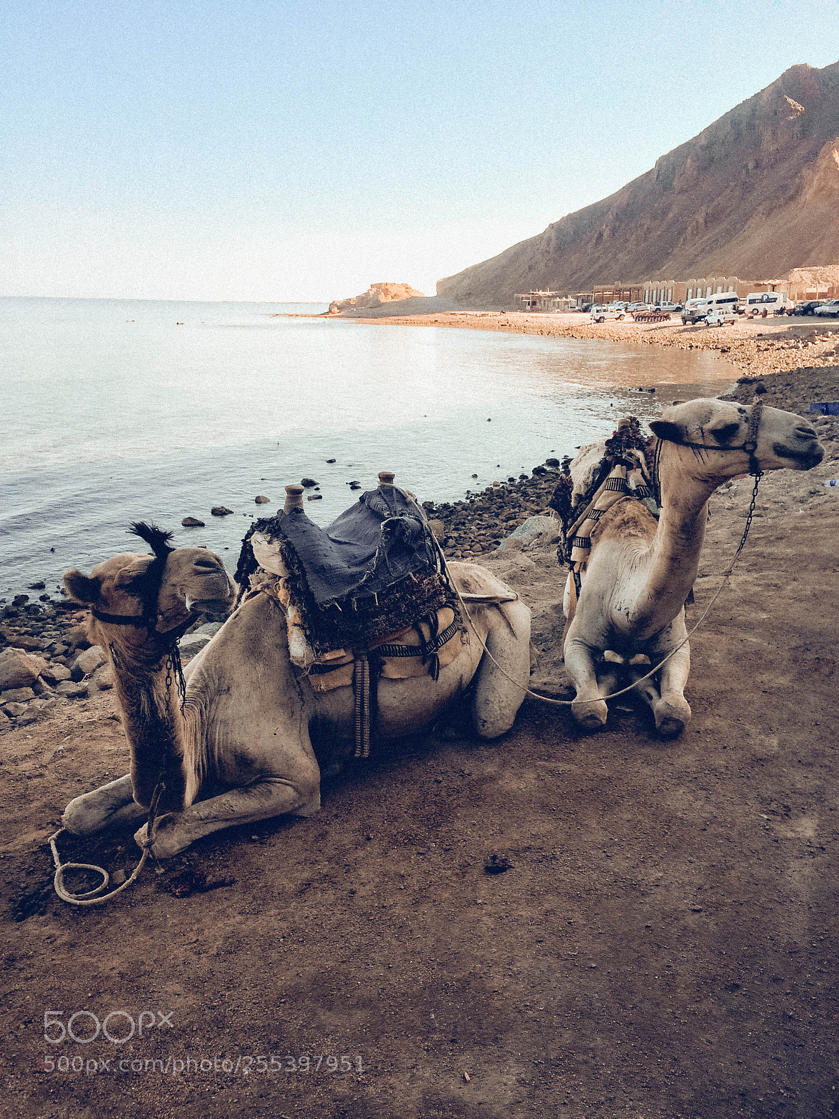 Apple iPhone 5s sample photo. Dahab, egypt photography