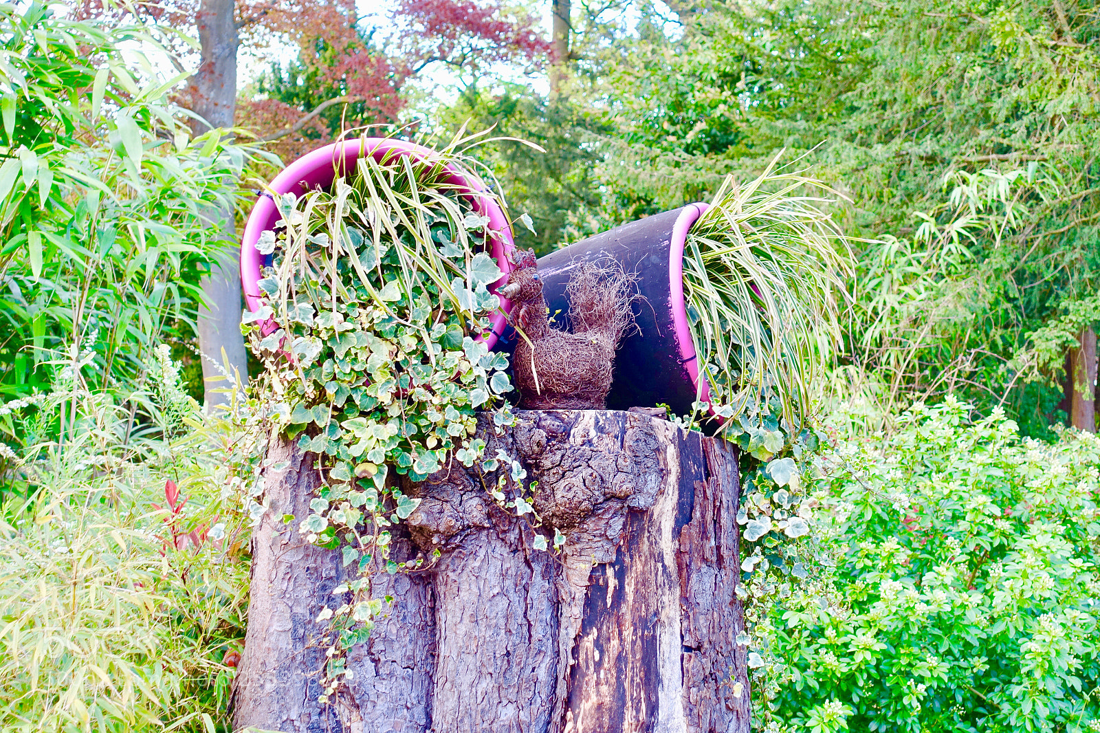 Sony Cyber-shot DSC-RX100 III sample photo. Dsc photography