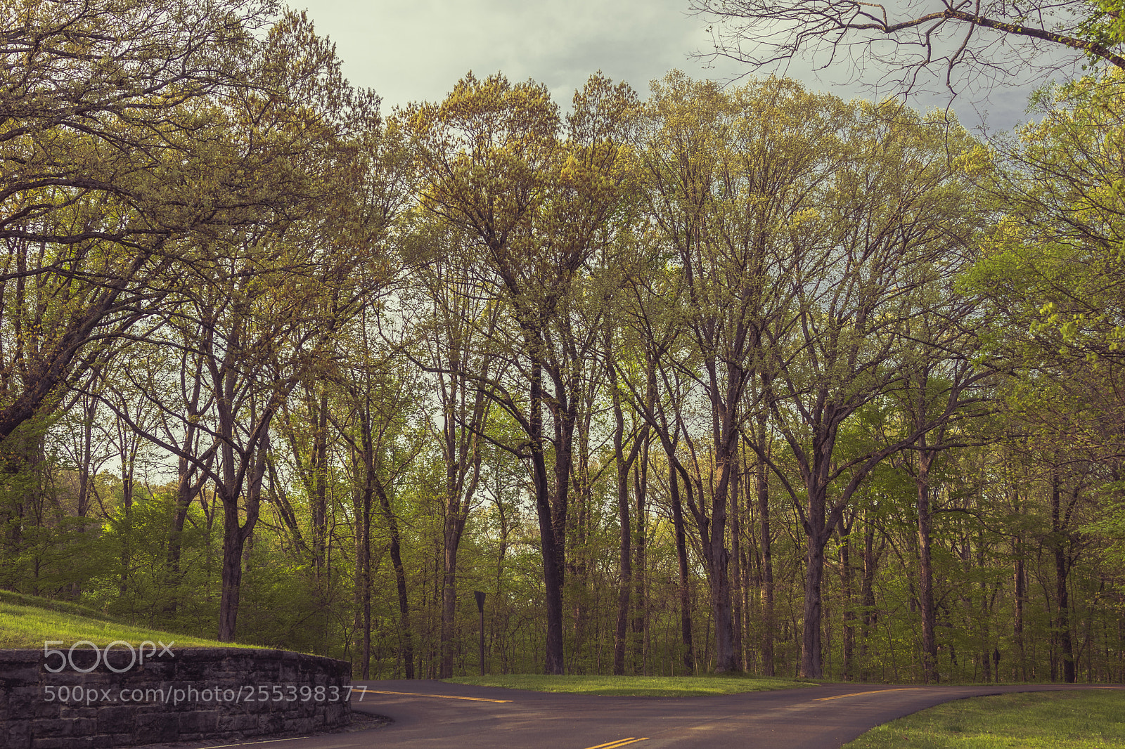 Canon EOS 77D (EOS 9000D / EOS 770D) sample photo. Evening at ft. donelson photography