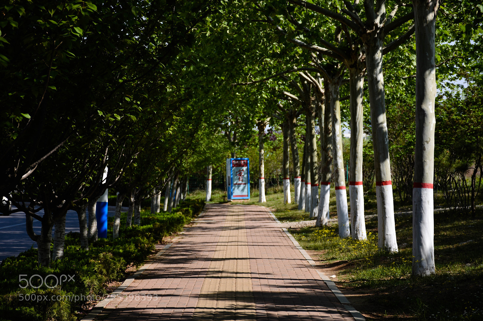 Nikon D7200 sample photo. Untitled photography