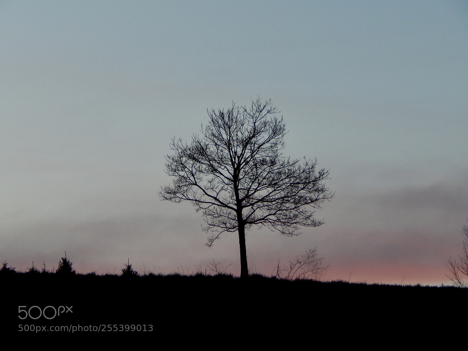 Nikon Coolpix L820 sample photo. All alone at sunset photography