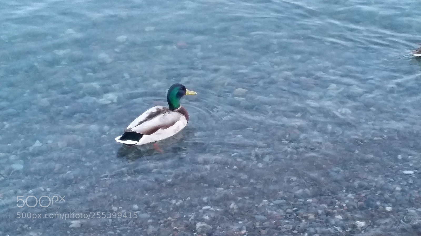 Samsung Galaxy S5 sample photo. Untitled photography