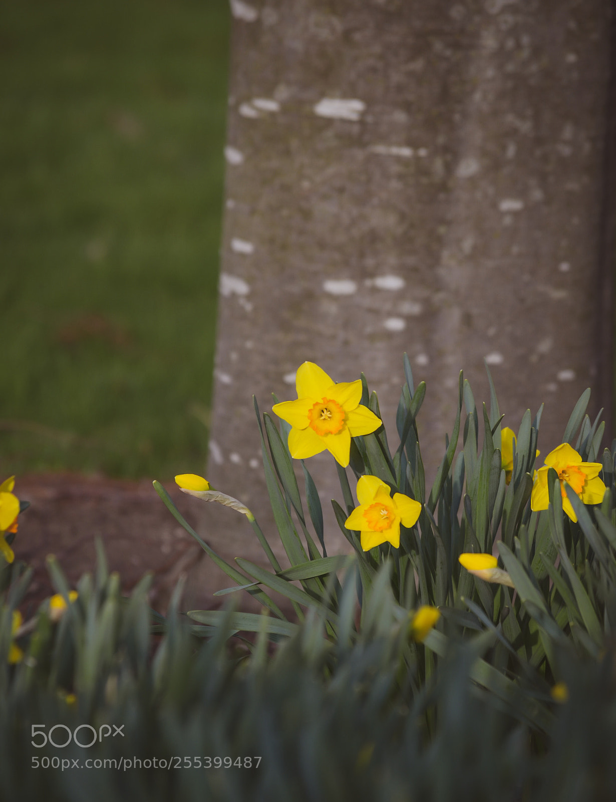 Nikon D7000 sample photo. Untitled photography