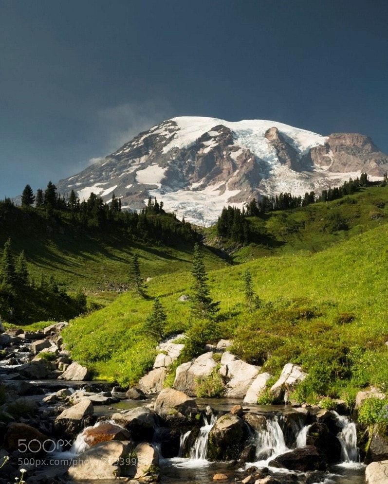 Nikon D800 sample photo. Mount rainier above myrtle photography