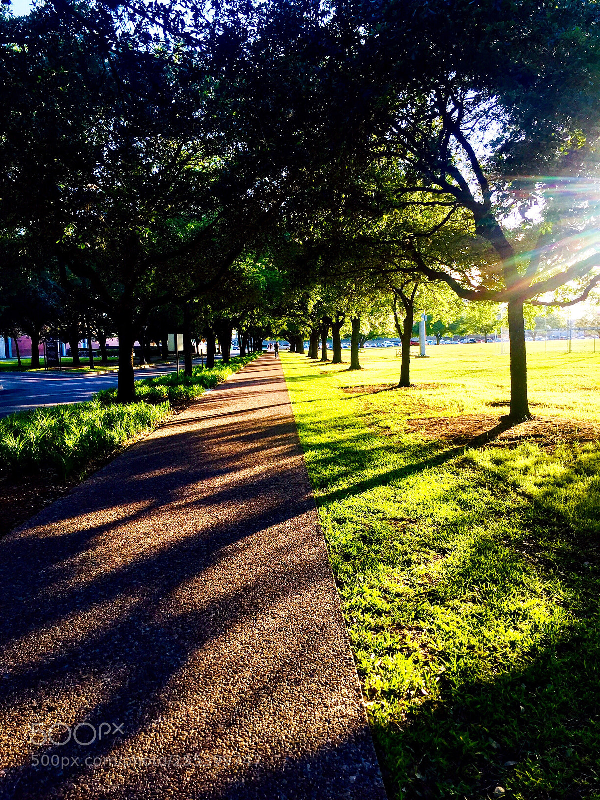 Apple iPhone 6 Plus sample photo. On the way home photography