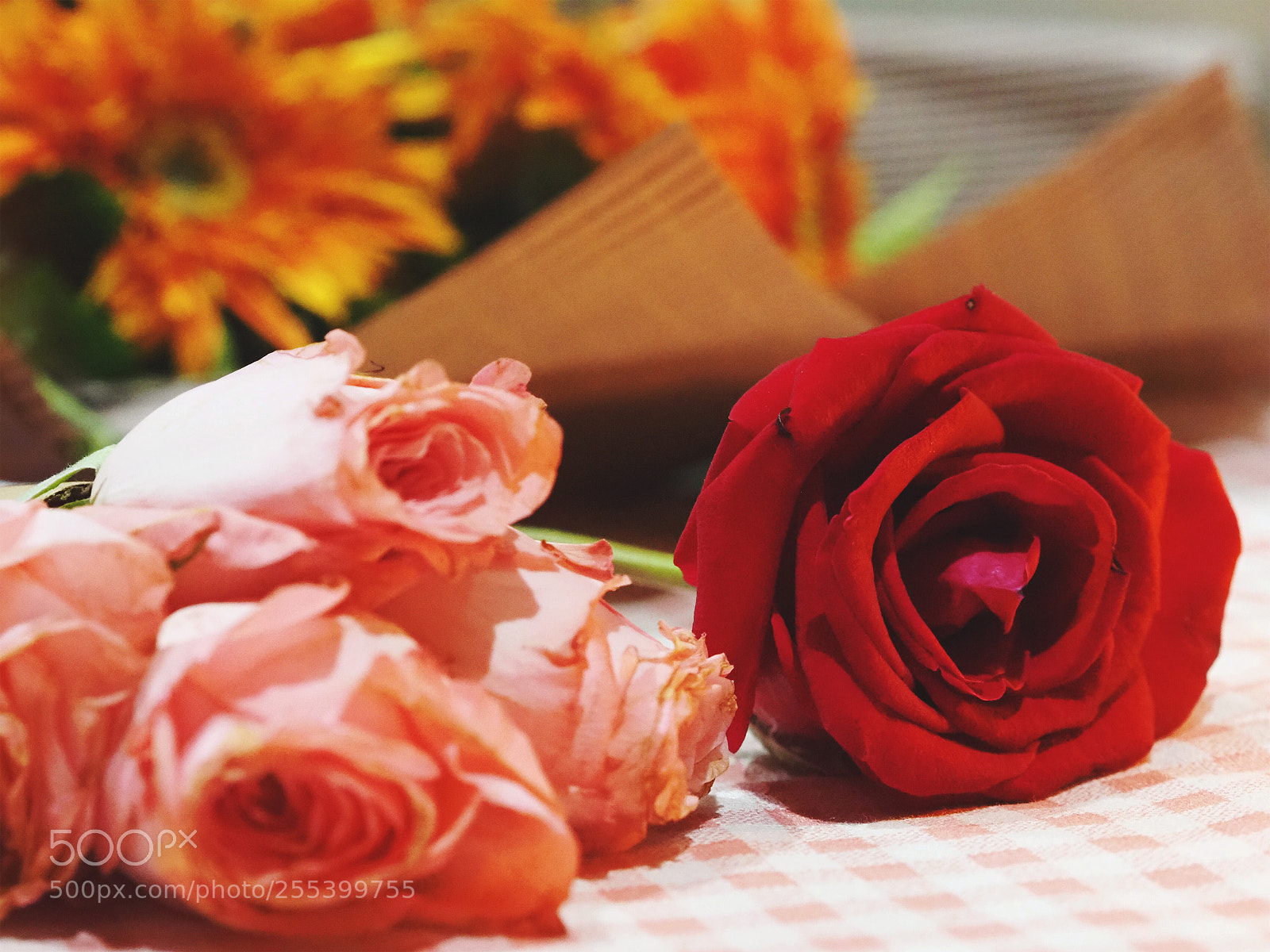 Olympus OM-D E-M10 III sample photo. Even they are dying photography