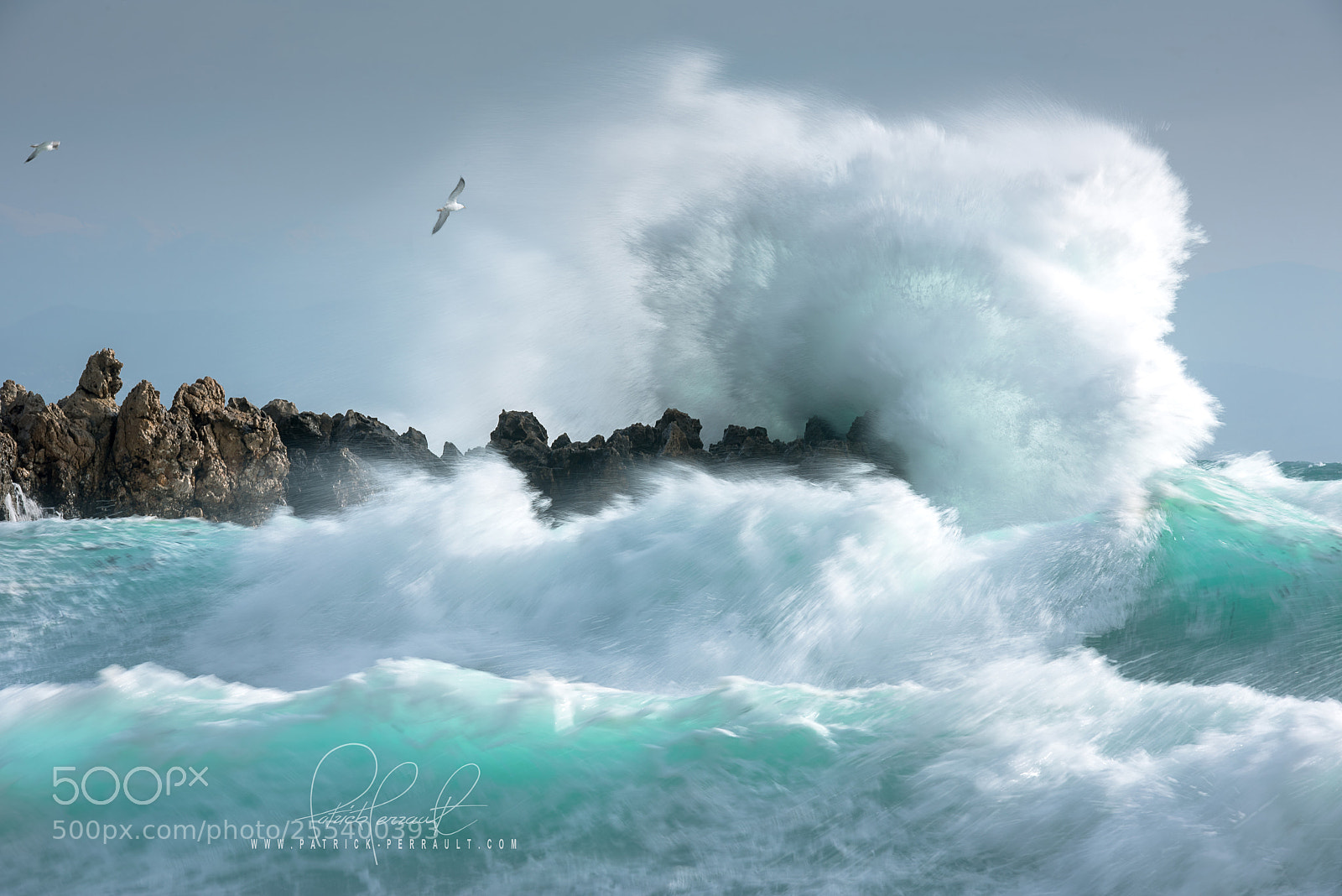 Nikon D810 sample photo. Stormy garoupe photography