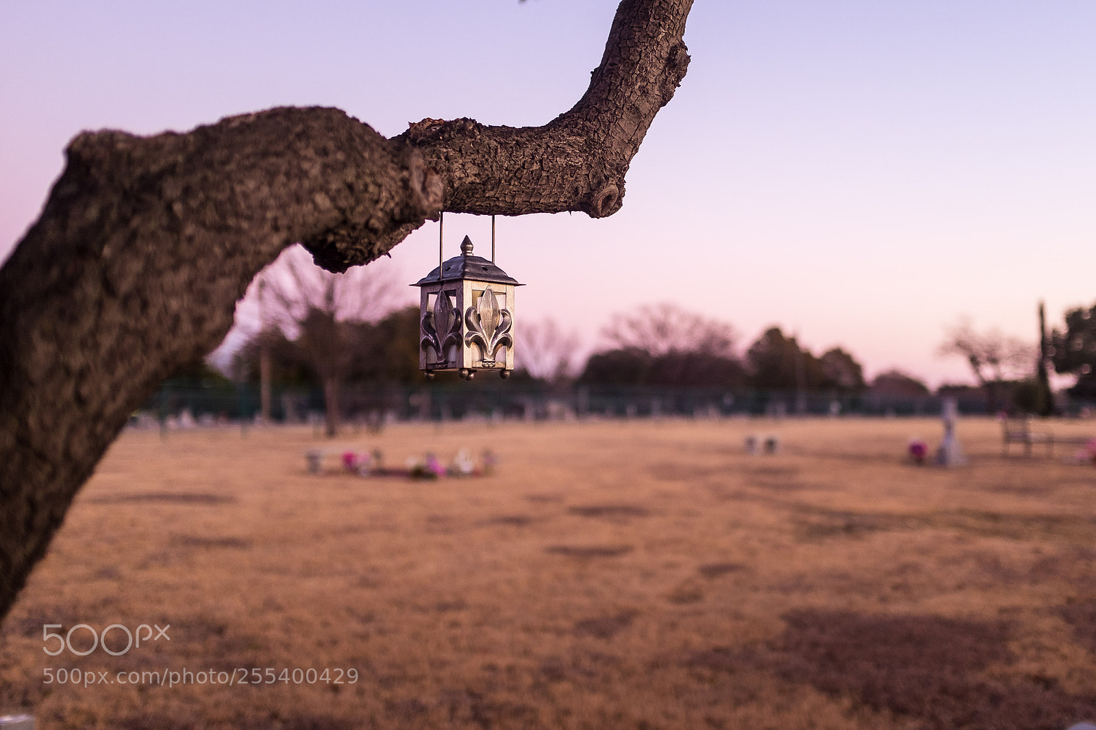 Fujifilm X100T sample photo. A resting place photography