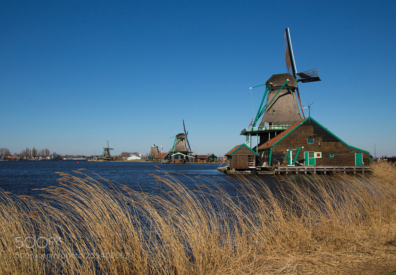 Canon EOS 6D sample photo. The windmills of photography