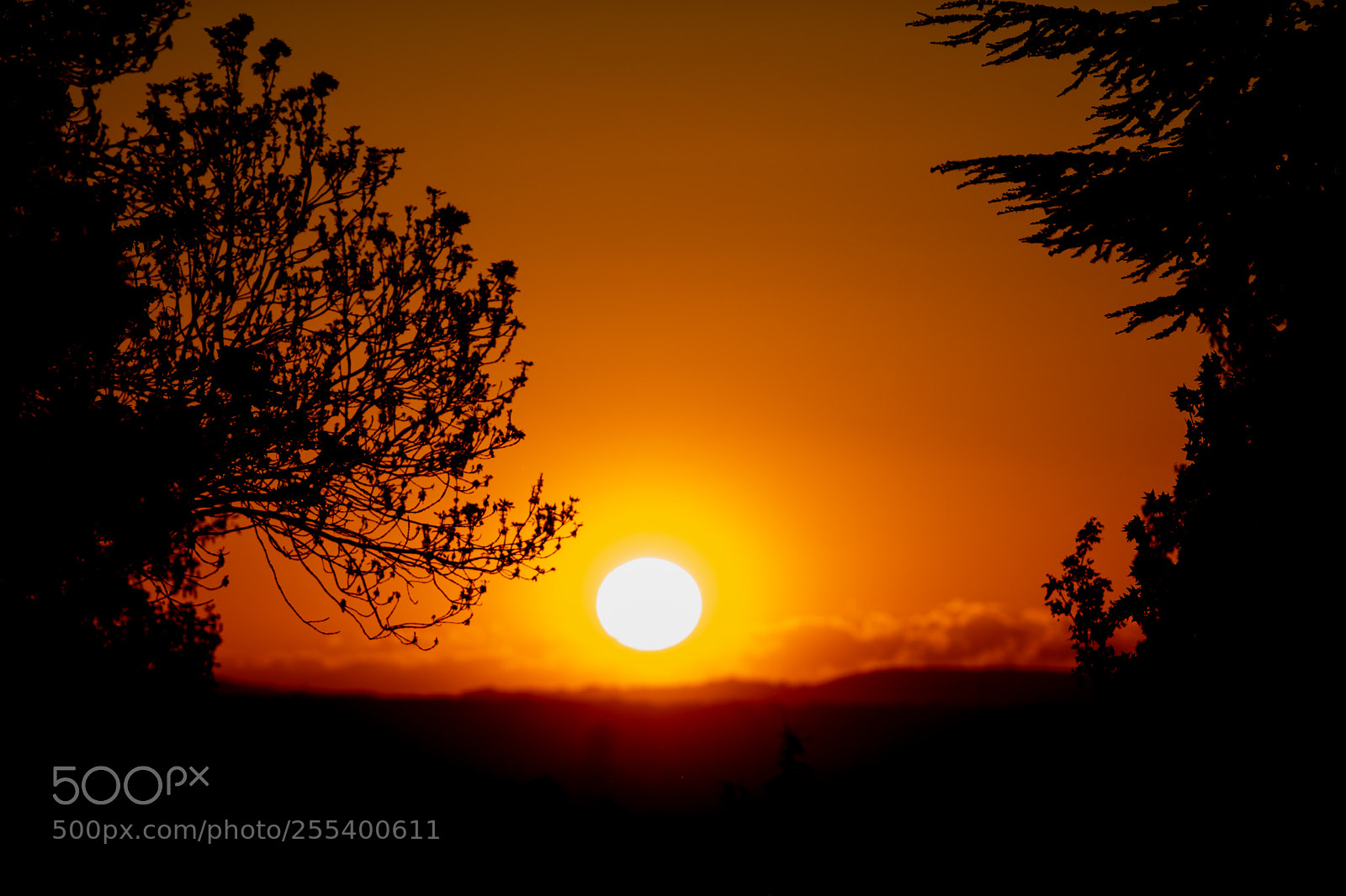 Nikon D850 sample photo. Coucher de soleil photography