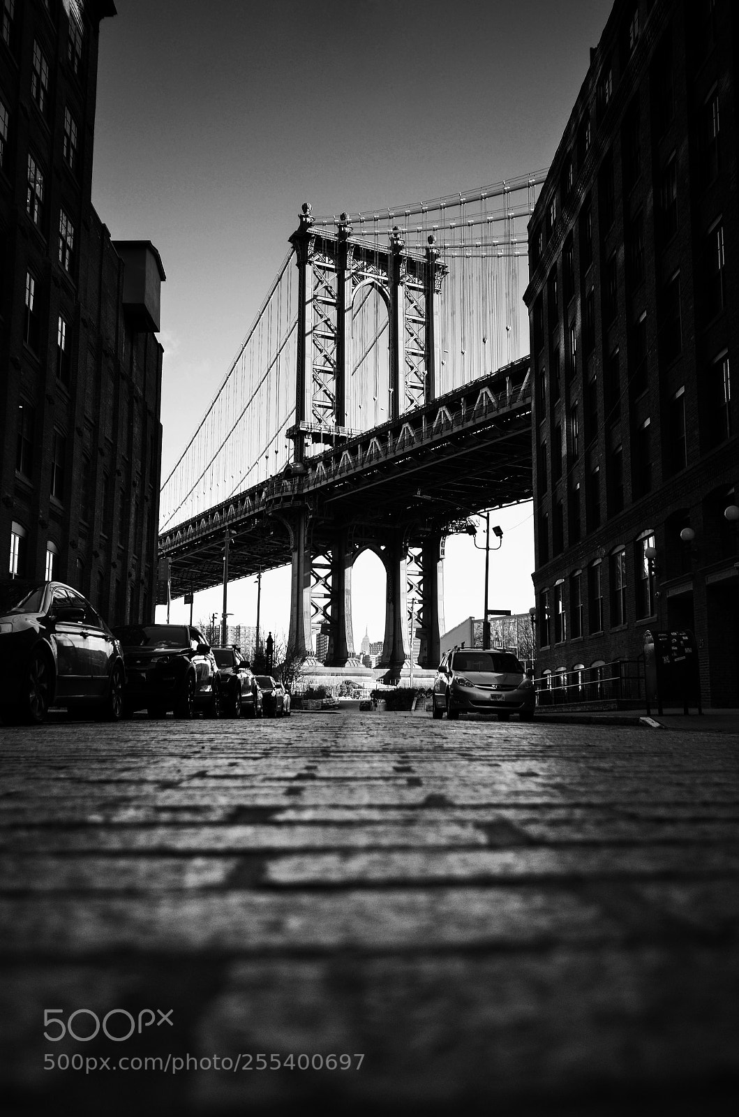 Nikon D5100 sample photo. Dumbo's iconic view photography