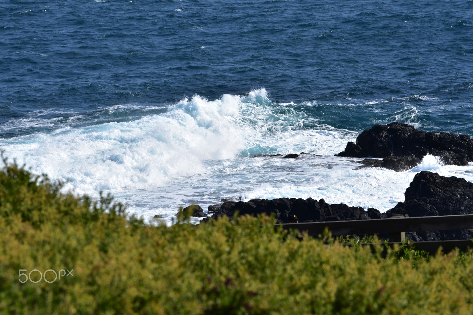 Nikon D3400 sample photo. Bass coast, port phillip bay harbour photography