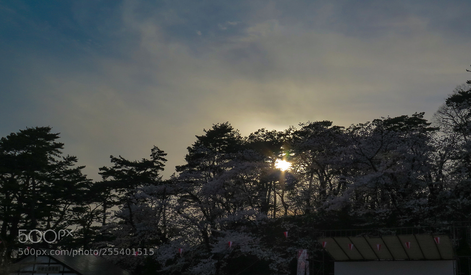 Canon PowerShot G16 sample photo. Hanami sunset photography