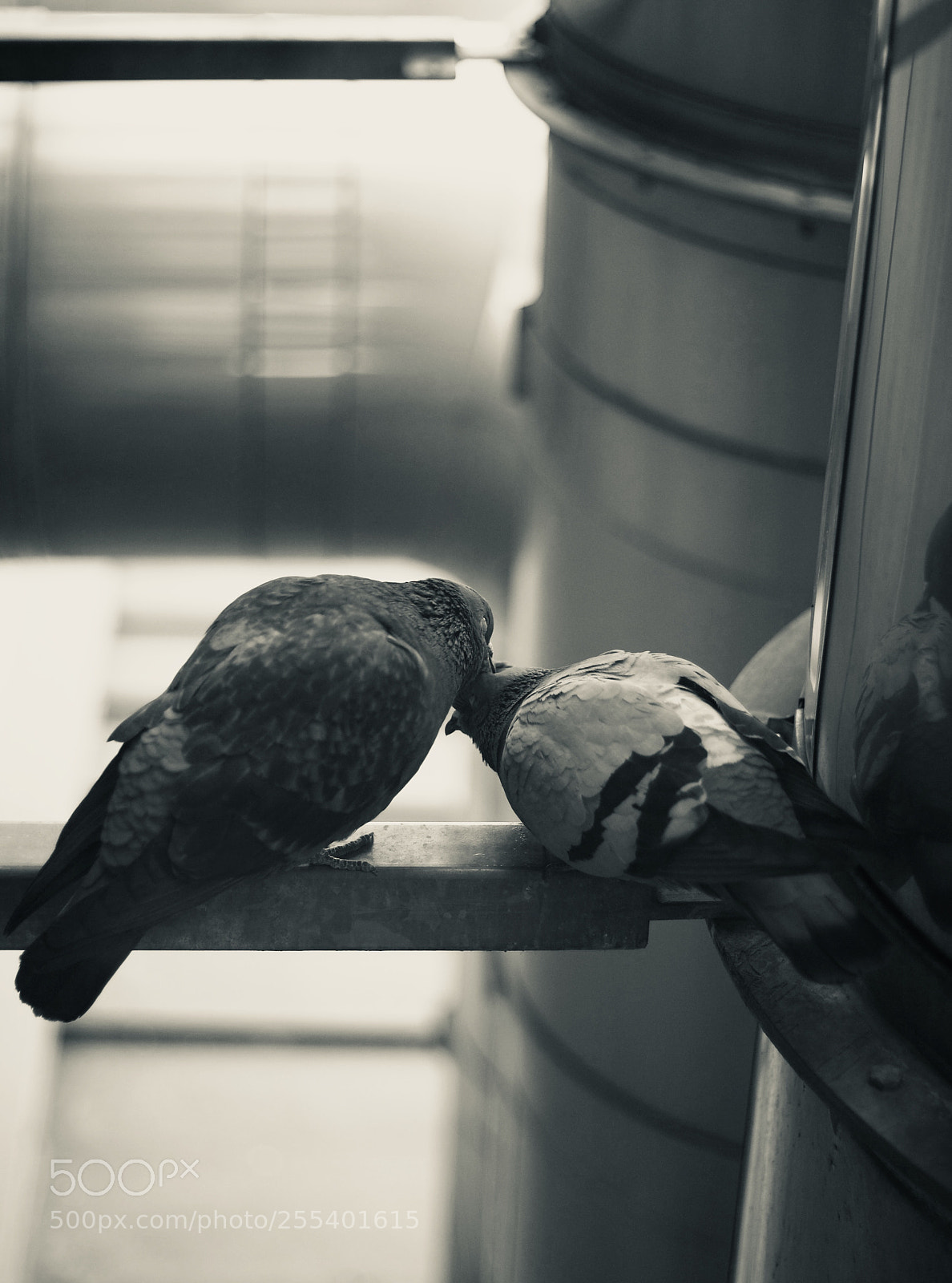 Canon EOS 6D sample photo. Love of nature photography