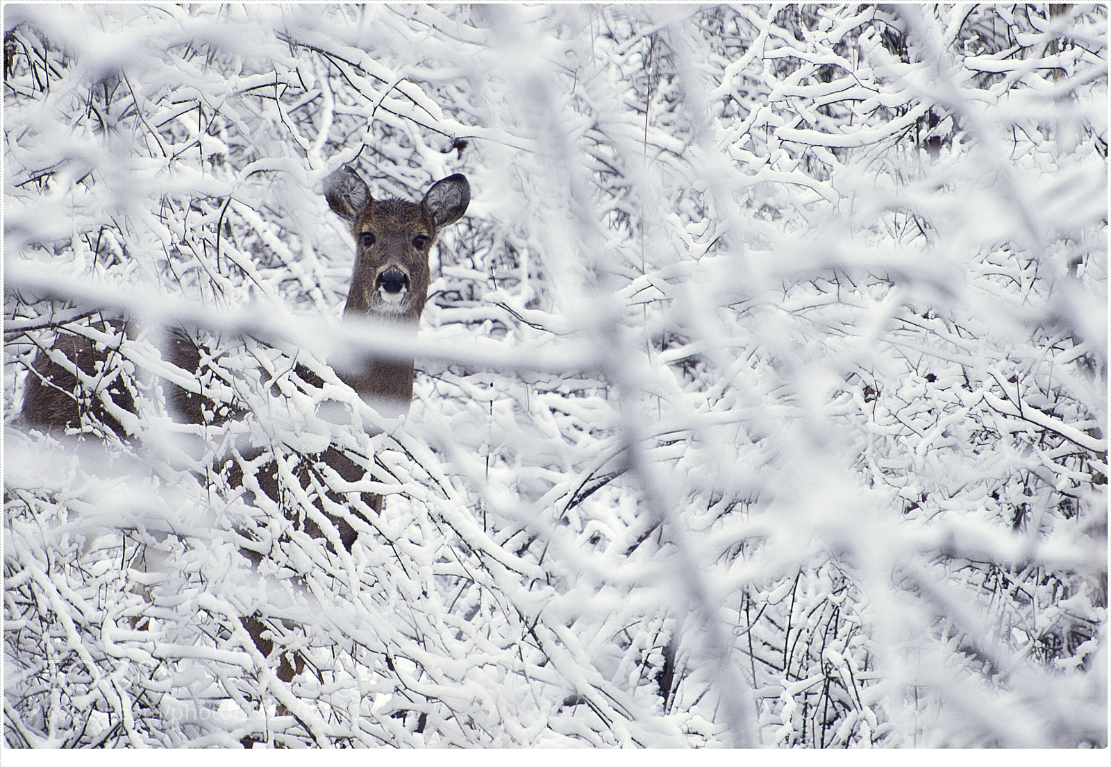 Nikon D7000 sample photo. Magical! photography