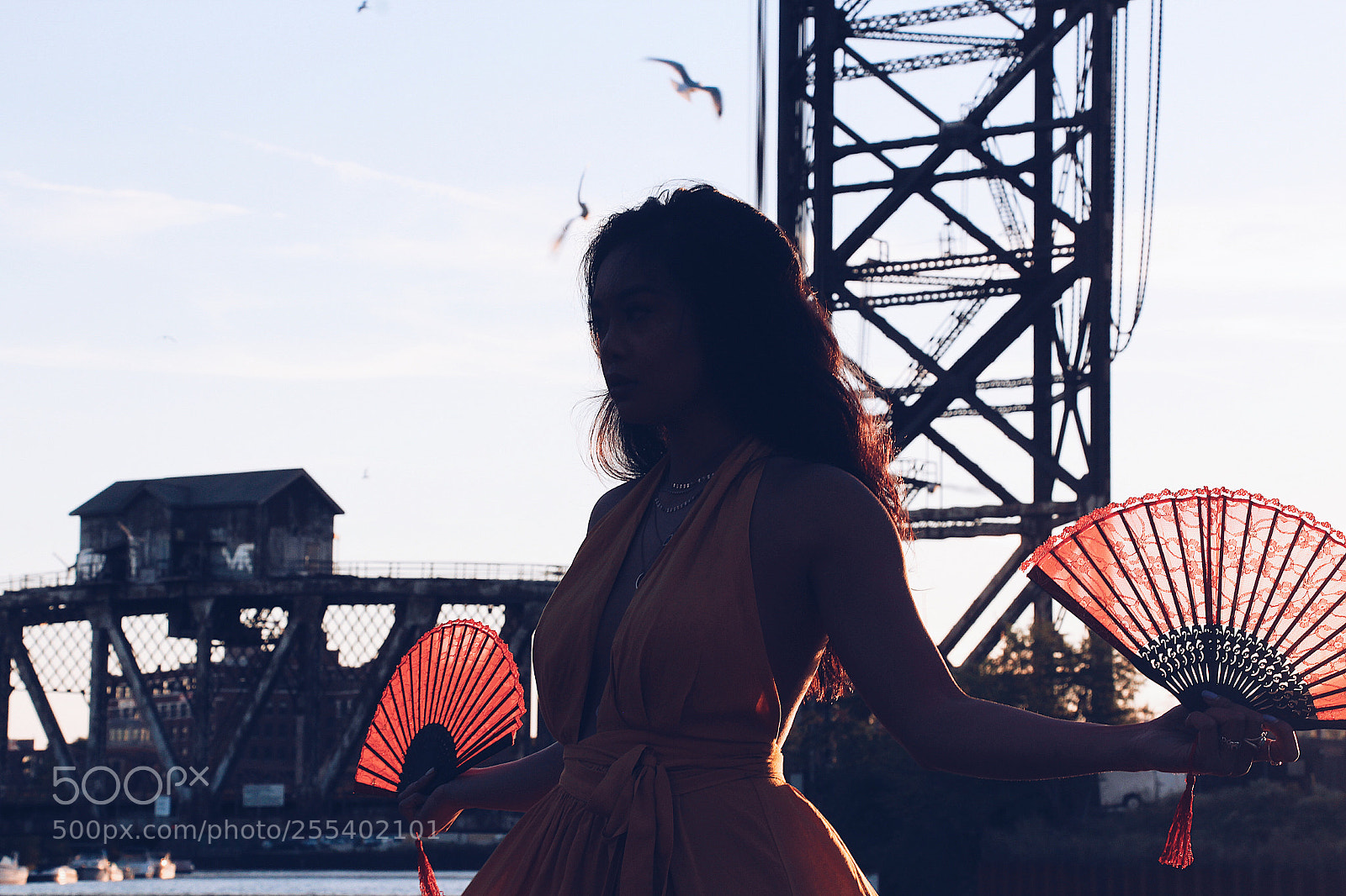 Canon EOS 650D (EOS Rebel T4i / EOS Kiss X6i) sample photo. Summer silhouettes photography
