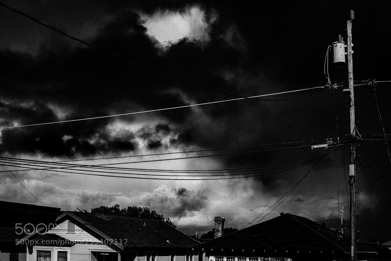 Leica M (Typ 240) sample photo. Monterey 201 photography