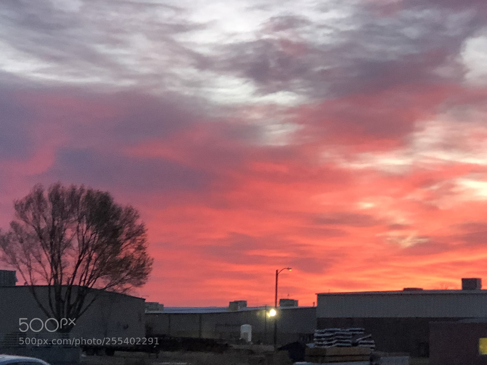 Apple iPhone 8 Plus sample photo. Industrial park area photography