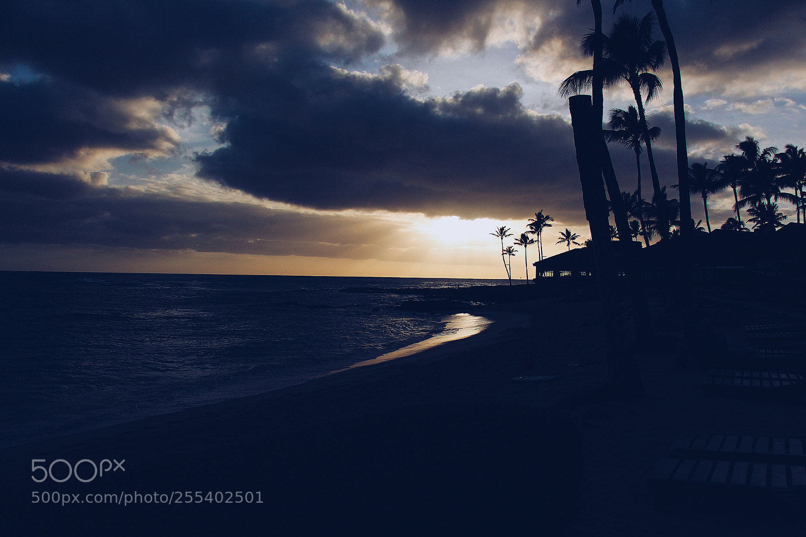 Canon EOS 650D (EOS Rebel T4i / EOS Kiss X6i) sample photo. Relaxation eternal photography