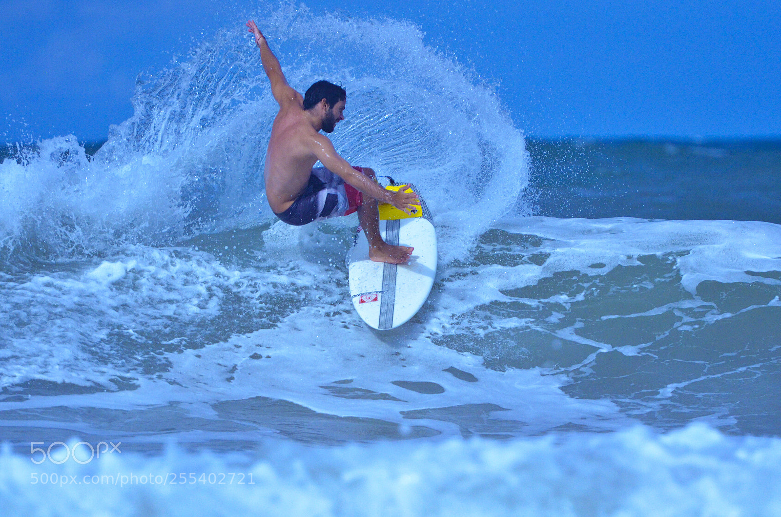 Nikon D7000 sample photo. Backside... photography