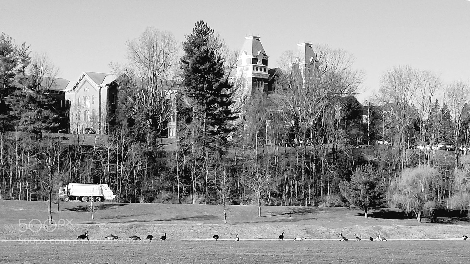 Samsung Galaxy S8 sample photo. B/w photography