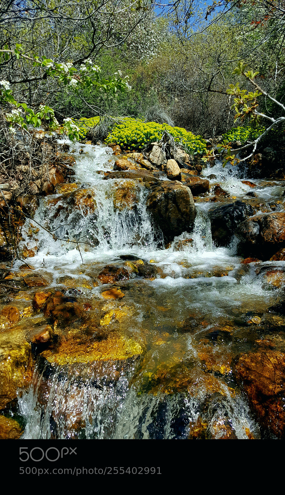 Samsung Galaxy Note5 sample photo. Spring runoff photography