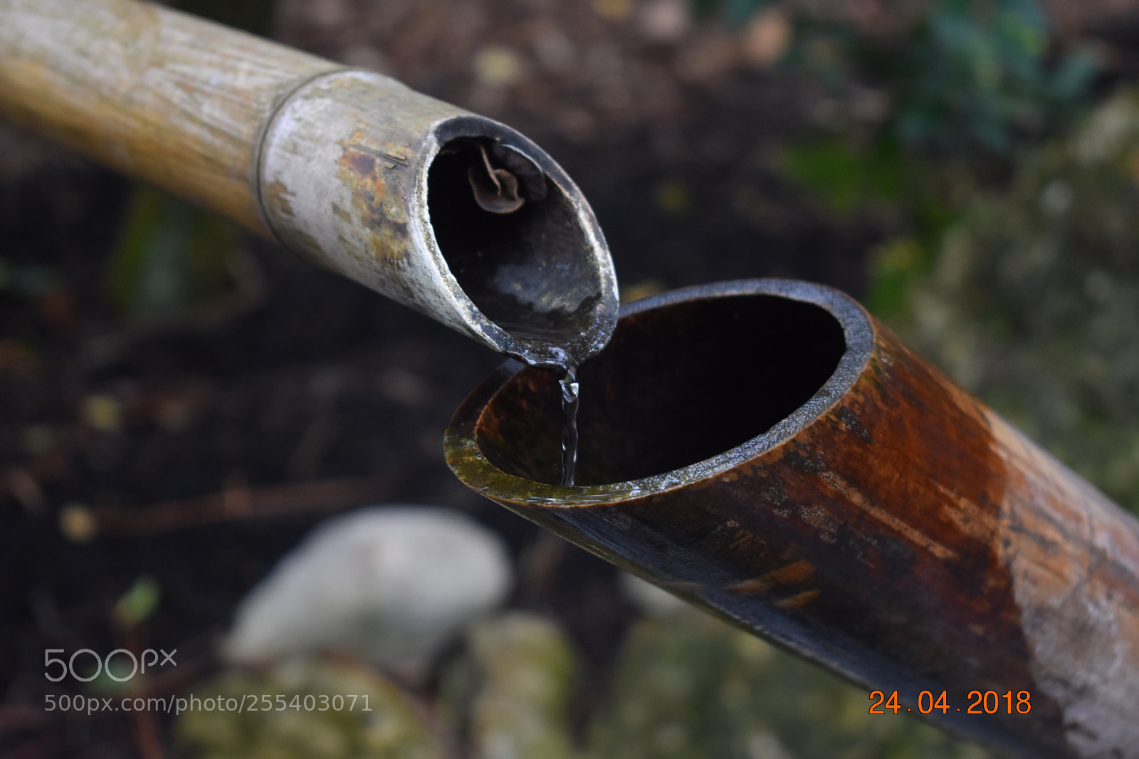 Nikon D3400 sample photo. Untitled photography