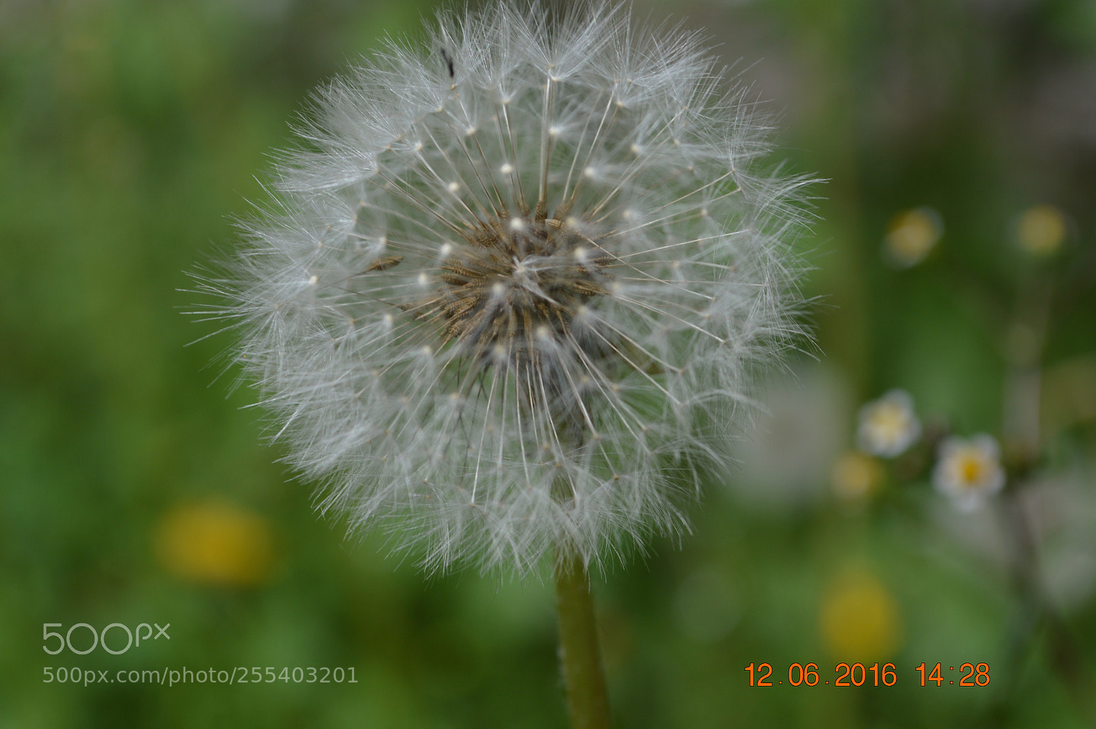 Nikon D3200 sample photo. Untitled photography
