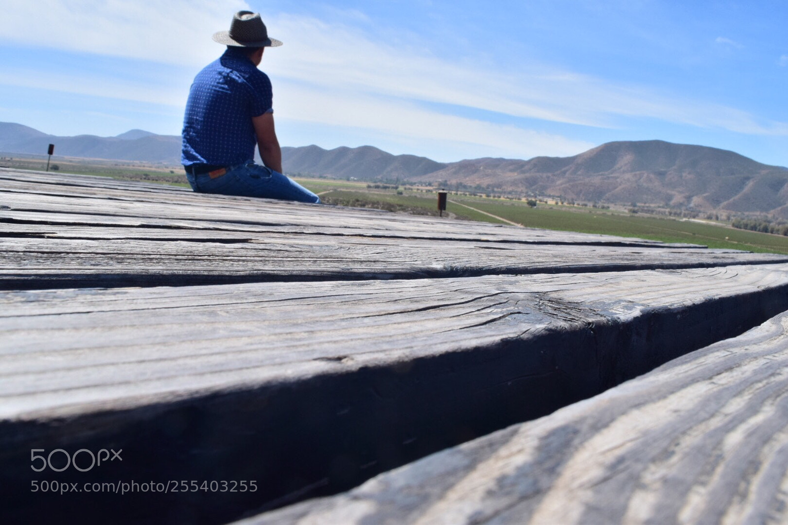 Nikon D5300 sample photo. Untitled photography