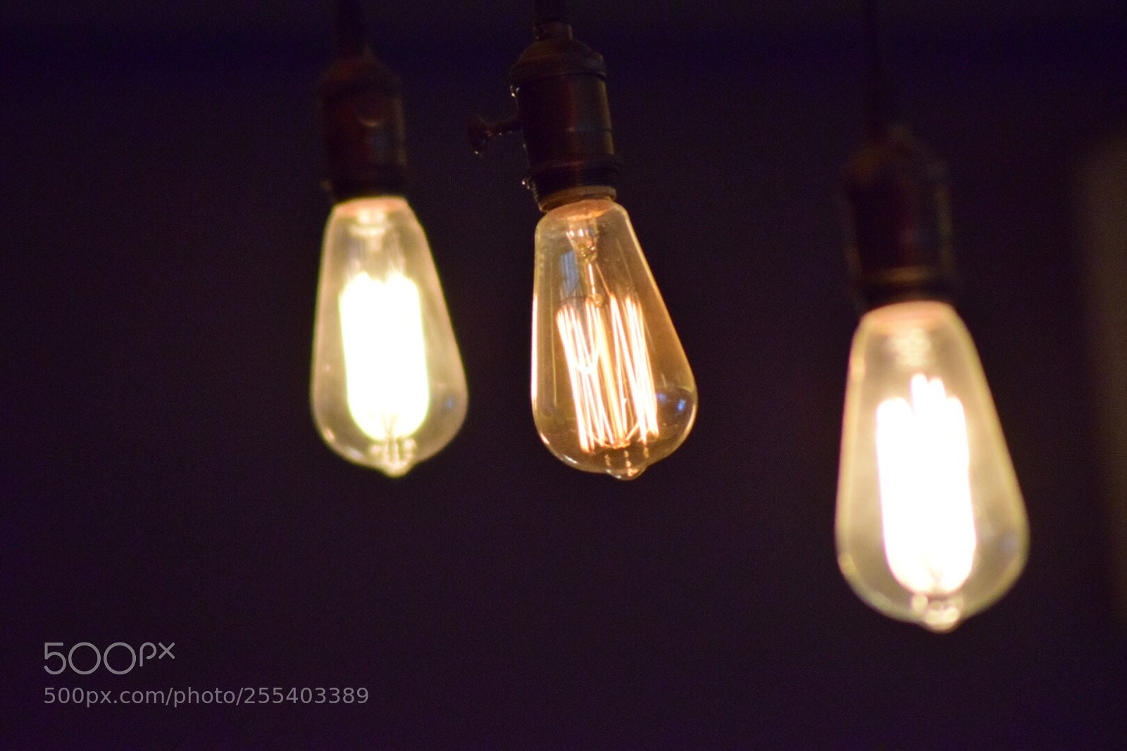 Nikon D5300 sample photo. Untitled photography